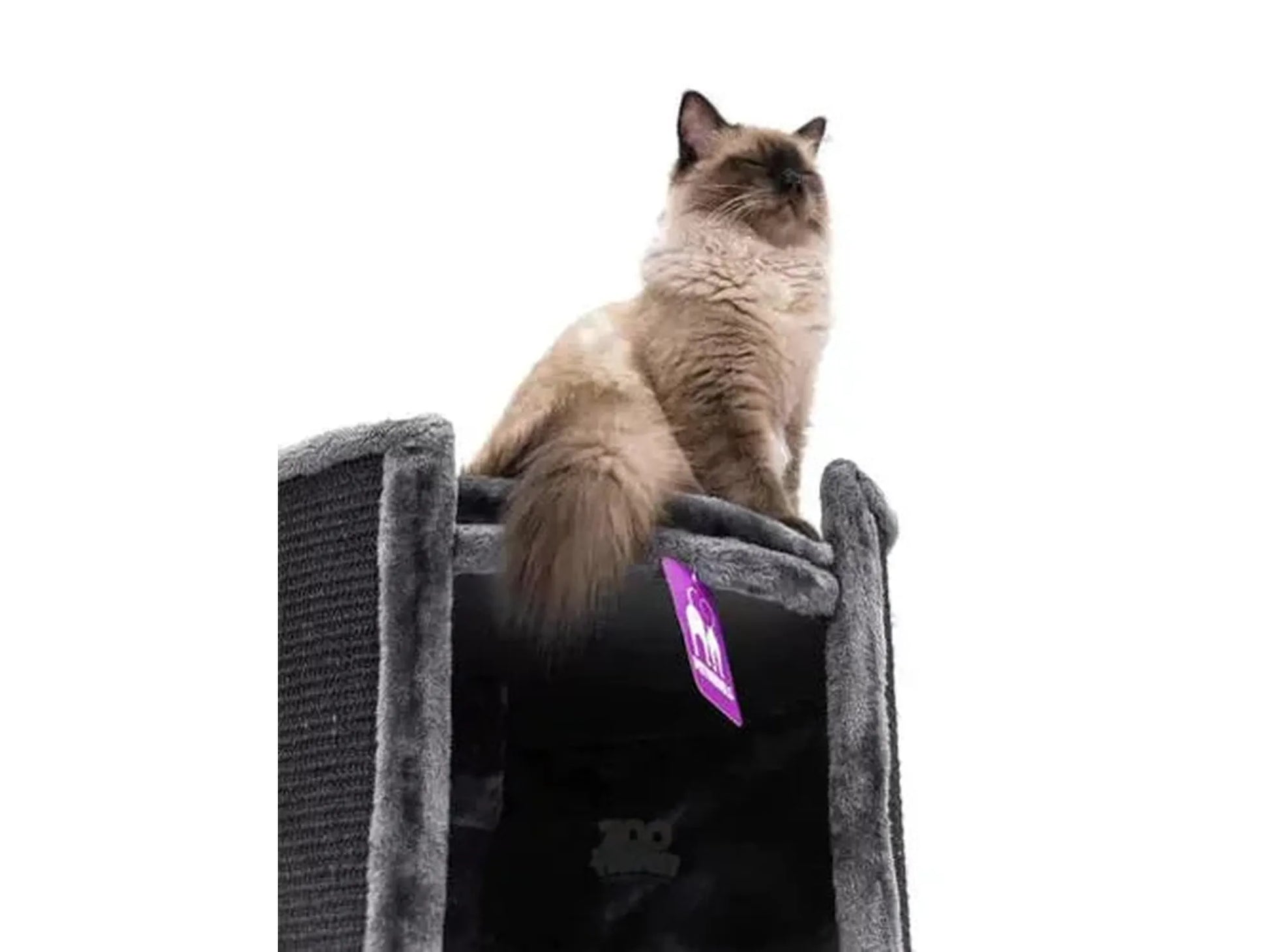 Katt på toppen av en grå Petrebels Superdome 120 kloretønne med sisalteppe.