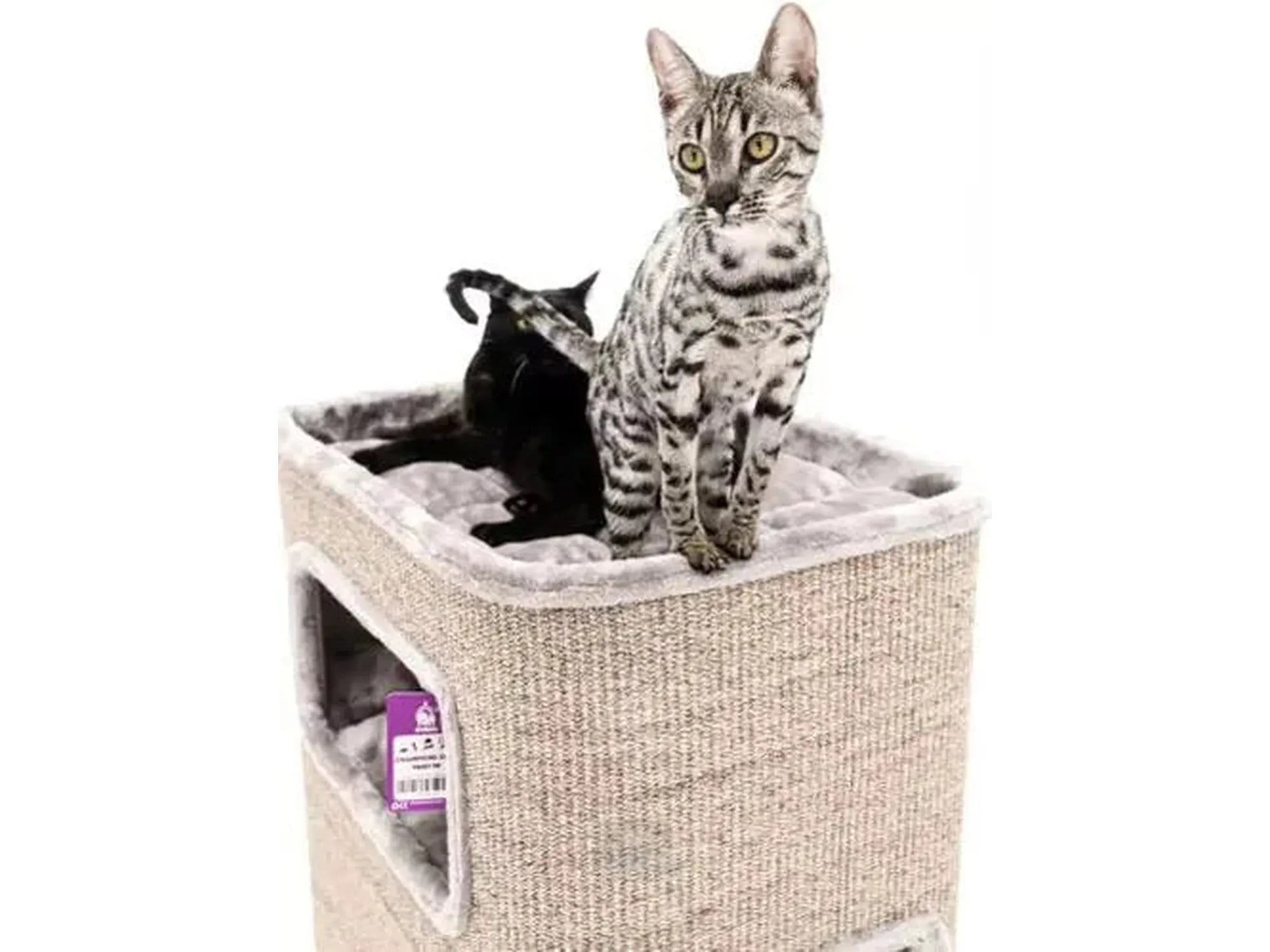 To katter på en Petrebels Vault 118 kloretønne i pepperfarge med sisalteppe og myk topp.