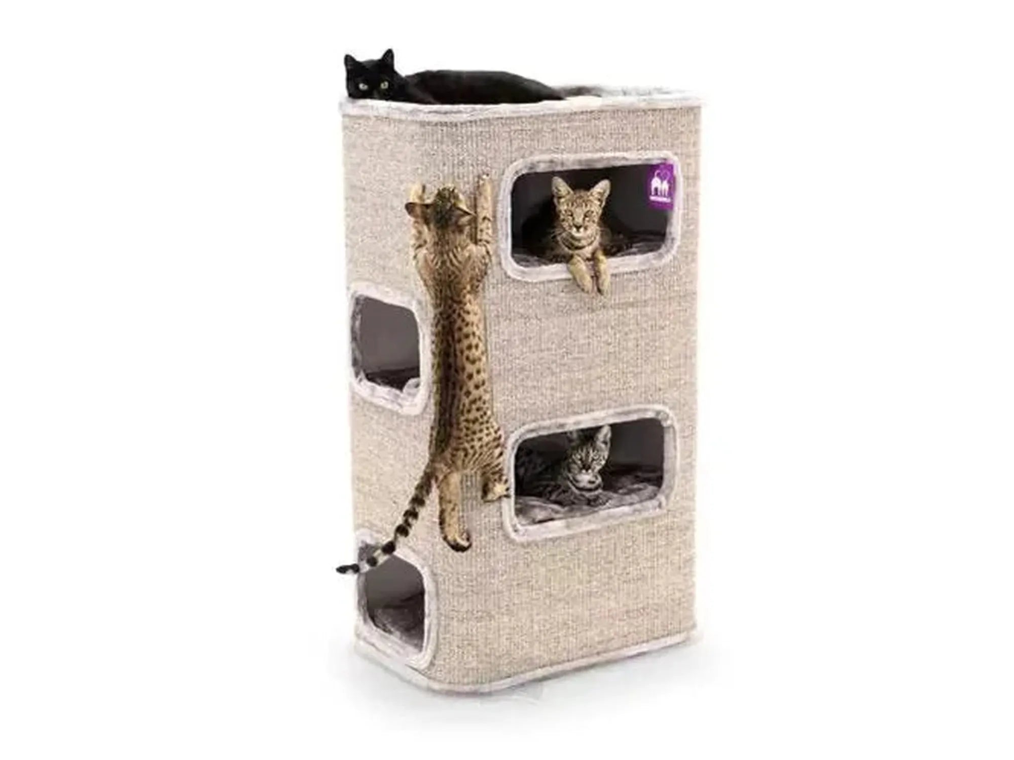 Champions Only Vault 118 (68x48x118cm) - Petrebels