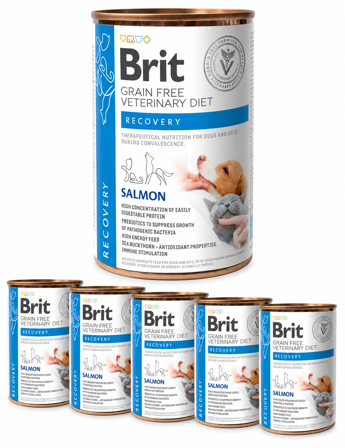 Brit Veterinary Diets Recovery 6-pakk – våtfôr til hund og katt under rekonvalesens