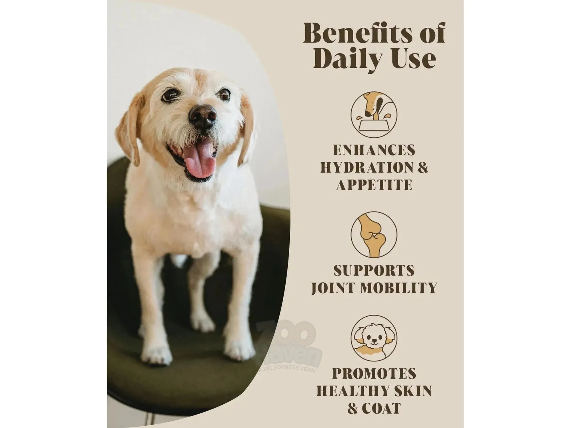 Chicken Bone Broth For Dogs – Hackney Dog House Gravy Topper 180g