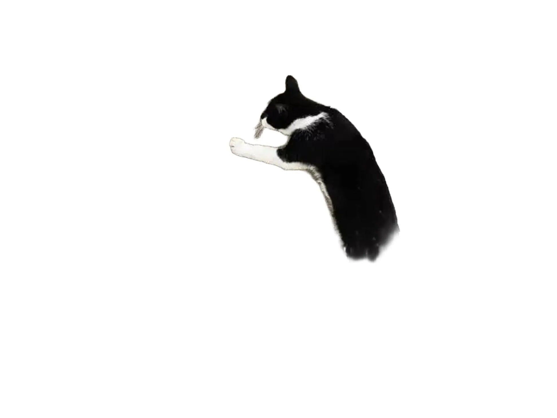 Svart-hvit katt klorer på en høy, vertikal klorestolpe i papp med hvit ramme og trefot.