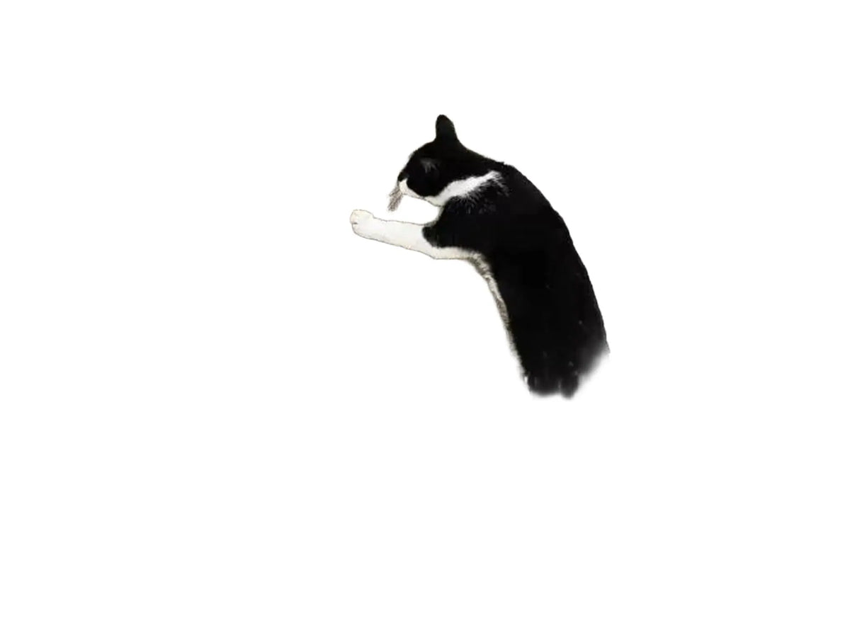 Svart-hvit katt klorer på en høy, vertikal klorestolpe i papp med hvit ramme og trefot.