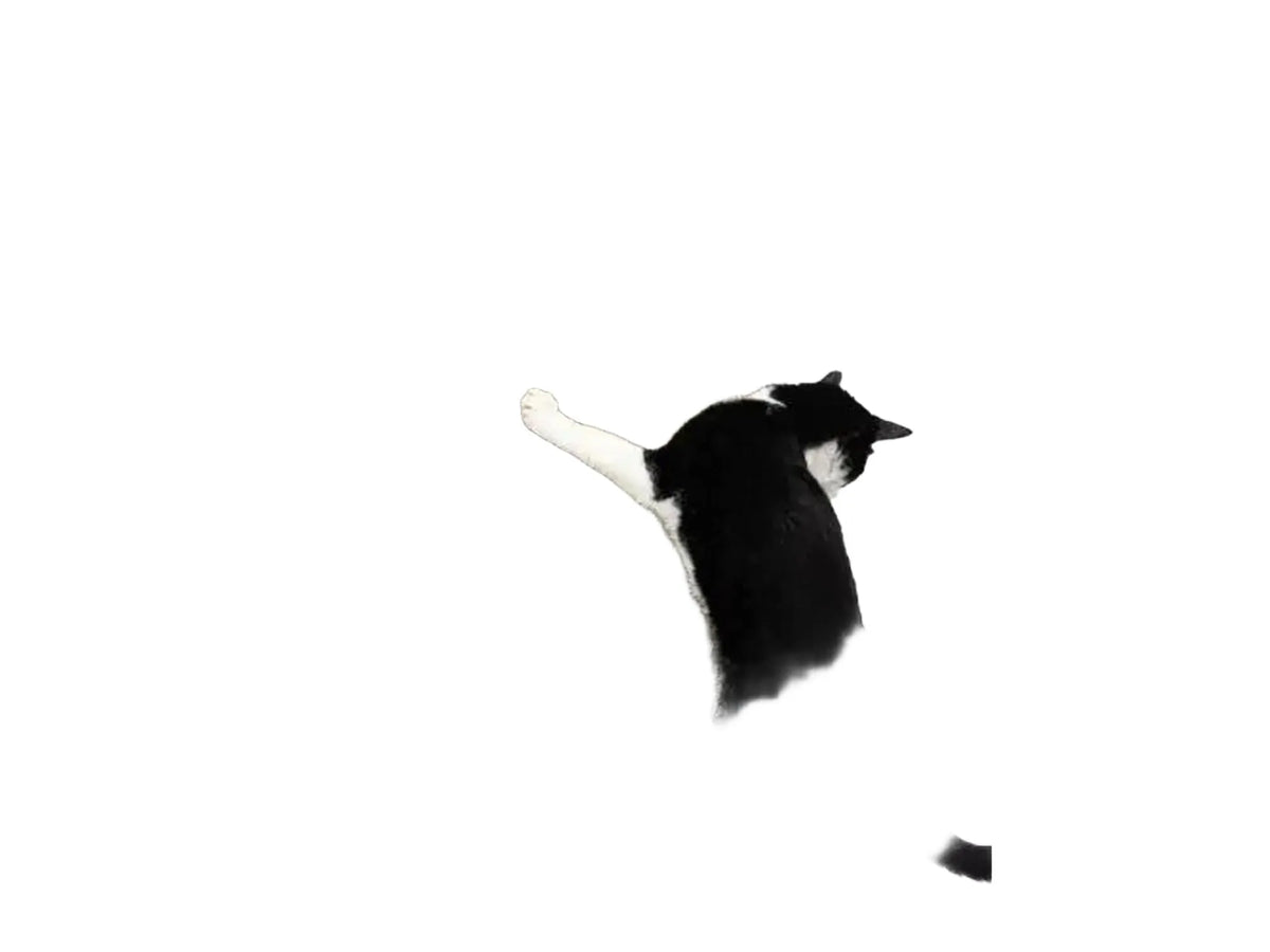 Svart og hvit katt klorer på en høy, vertikal klorestolpe i papp med trefot.