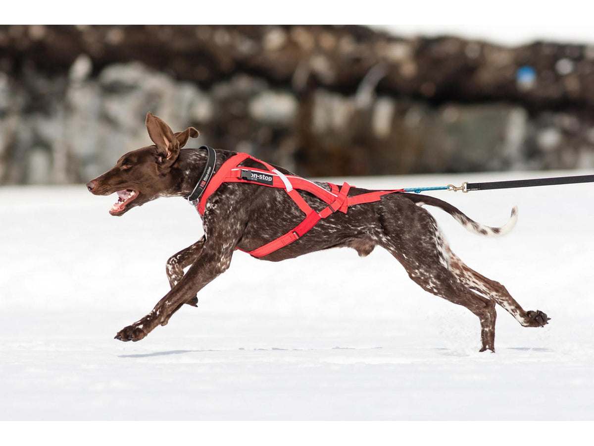Non-stop dogwear Combined harness trekksele – Rød