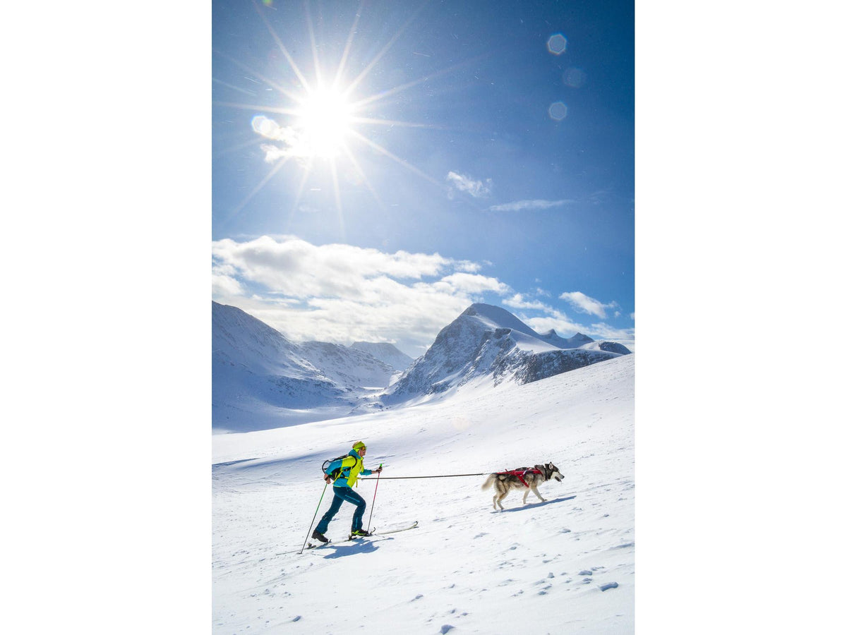Non-stop dogwear Combined harness trekksele – Rød