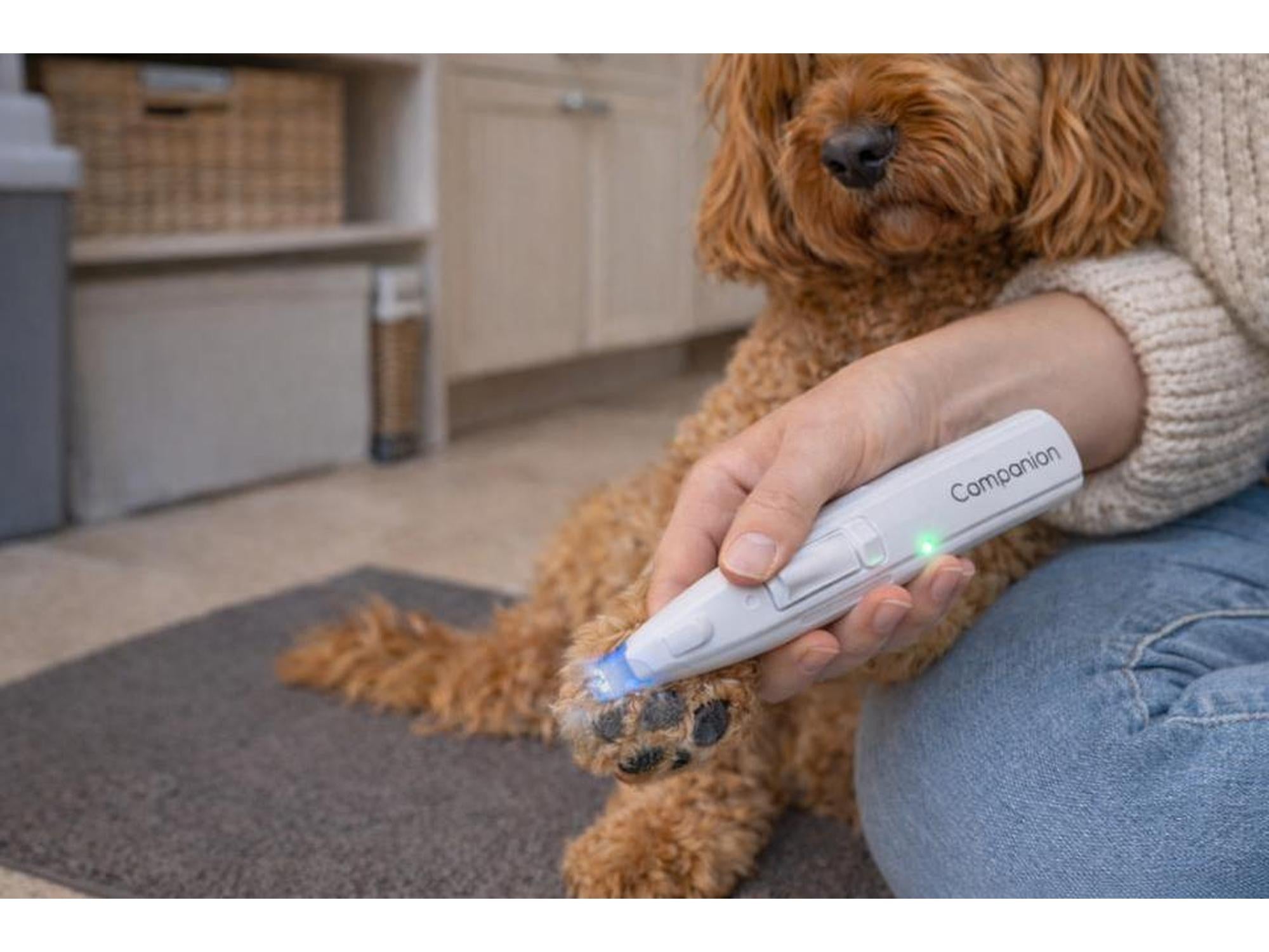 Companion Potetrimmer med LED-Lys
