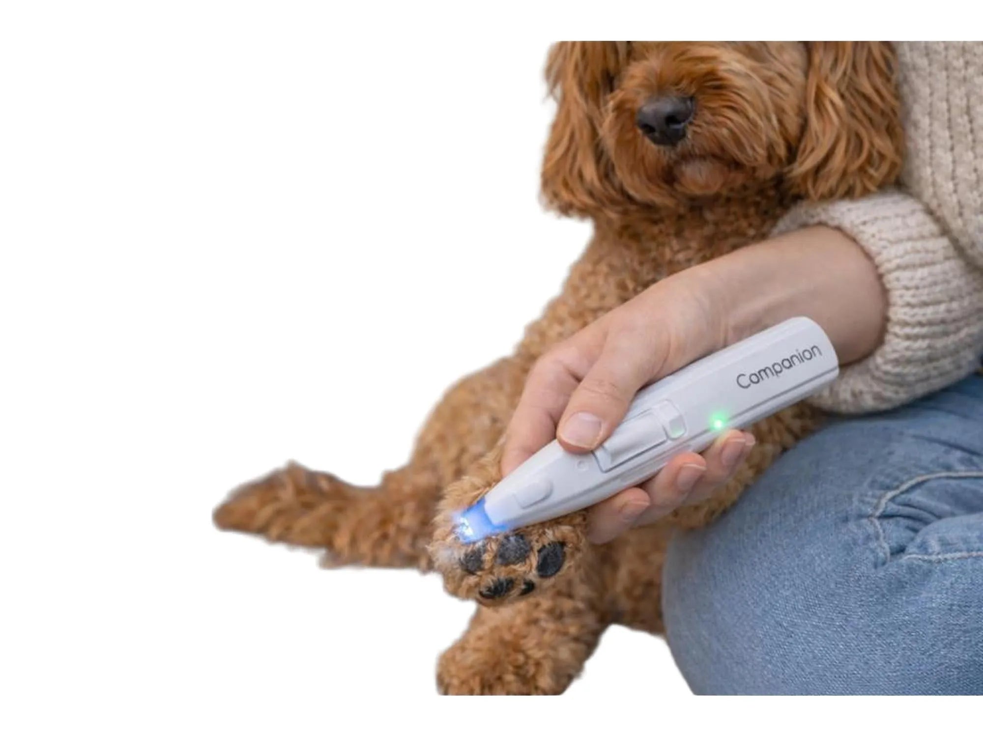 Hvit Companion potetrimmer med LED-lys som lyser opp en hundepote med brun pels.