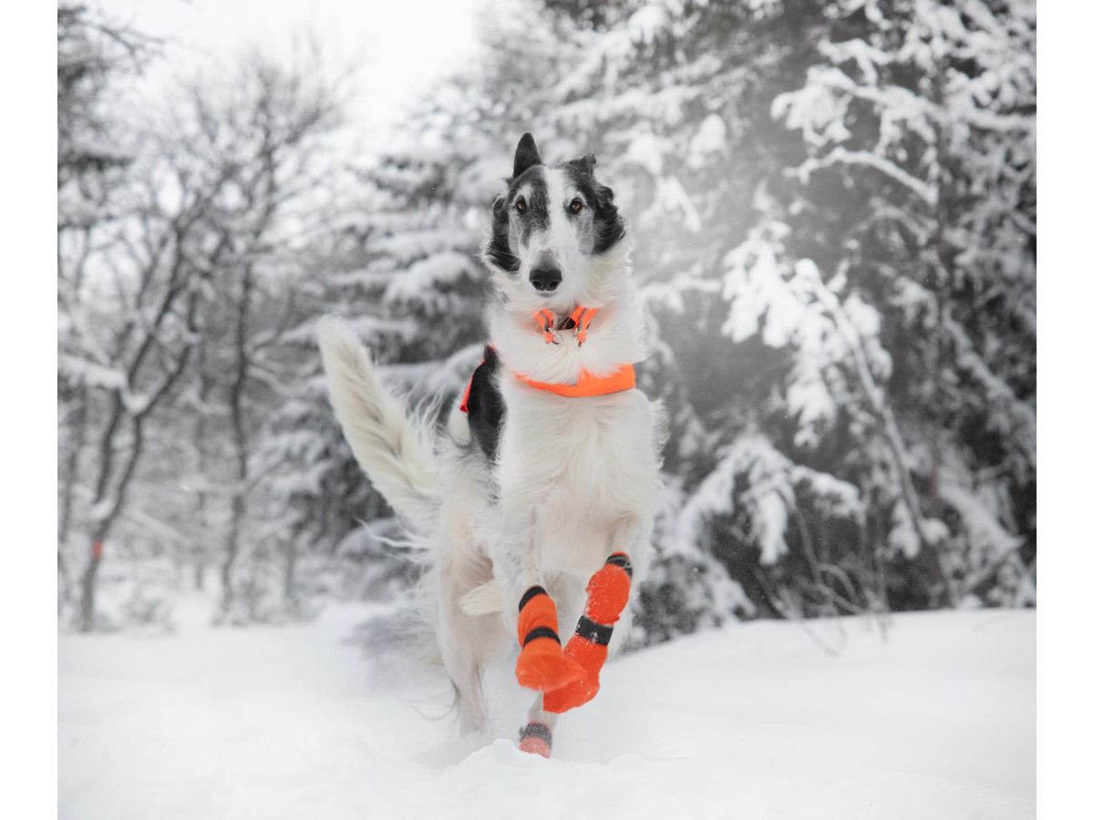 Non-stop dogwear Contact bootie high potesokker – Oransje