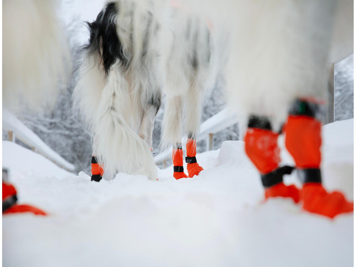 Non-stop dogwear Contact bootie high potesokker – Oransje