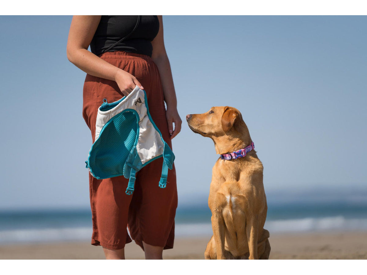 Non-stop dogwear Cooling vest kjølevest – Lysegrå/teal