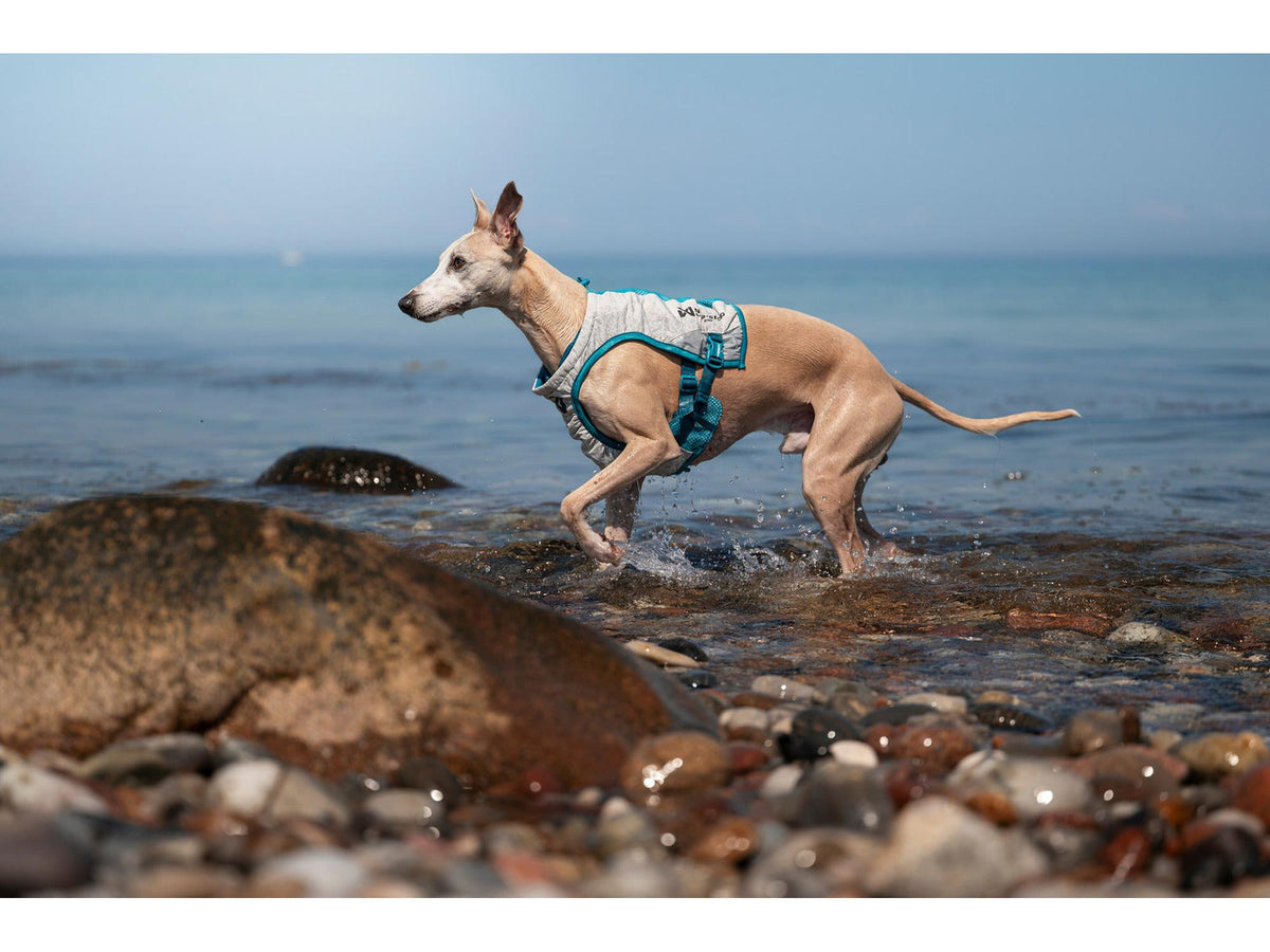 Non-stop dogwear Cooling vest kjølevest – Lysegrå/teal