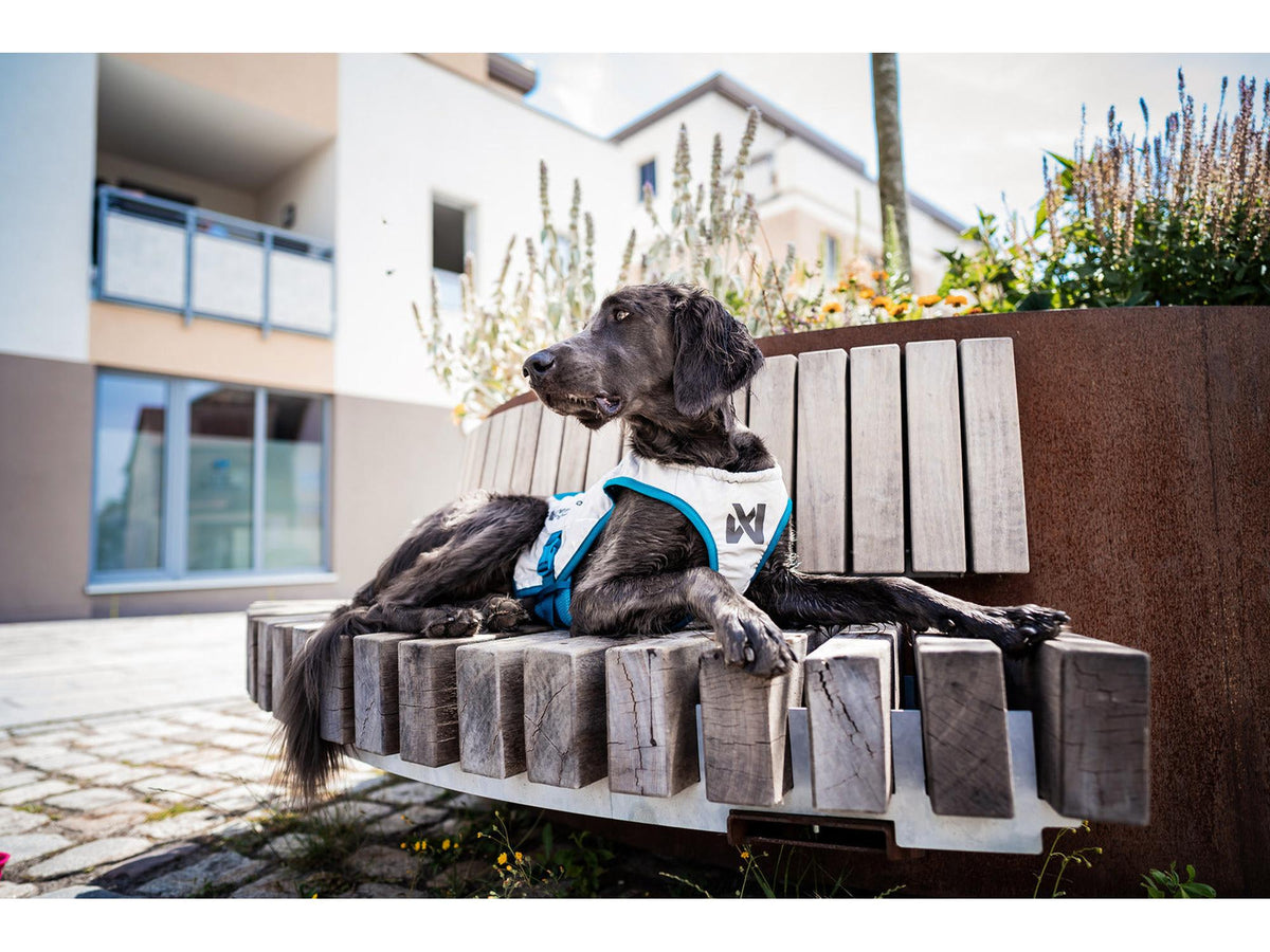 Non-stop dogwear Cooling vest kjølevest – Lysegrå/teal