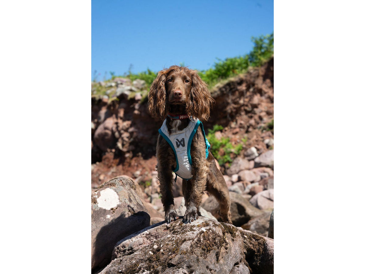 Non-stop dogwear Cooling vest kjølevest – Lysegrå/teal