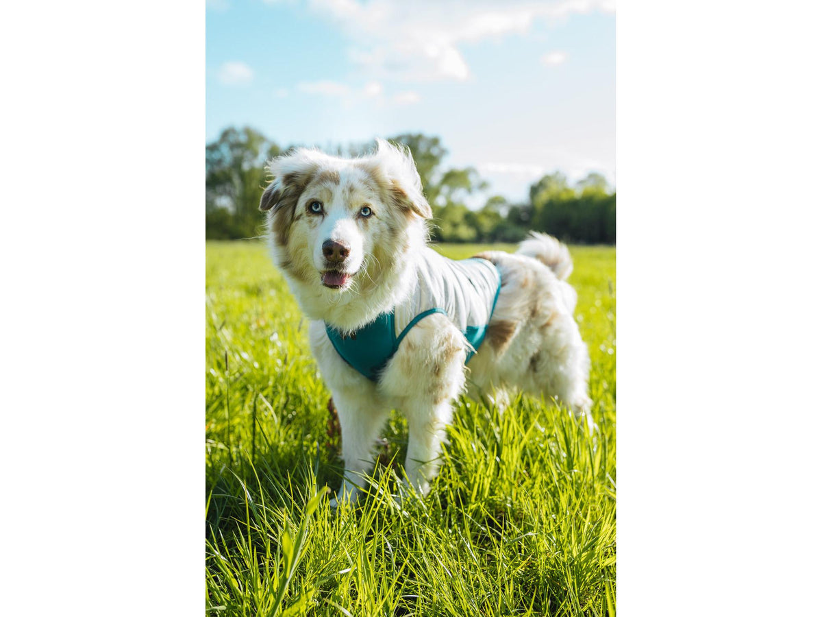 Non-stop dogwear Cooling pull-on kjølevest – Lysegrå