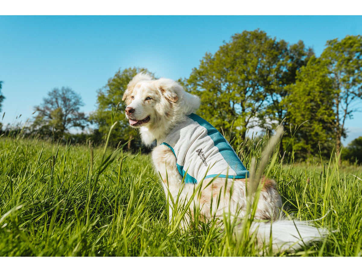 Non-stop dogwear Cooling pull-on kjølevest – Lysegrå