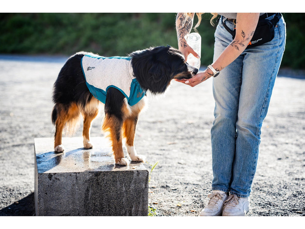 Non-stop dogwear Cooling pull-on kjølevest – Lysegrå