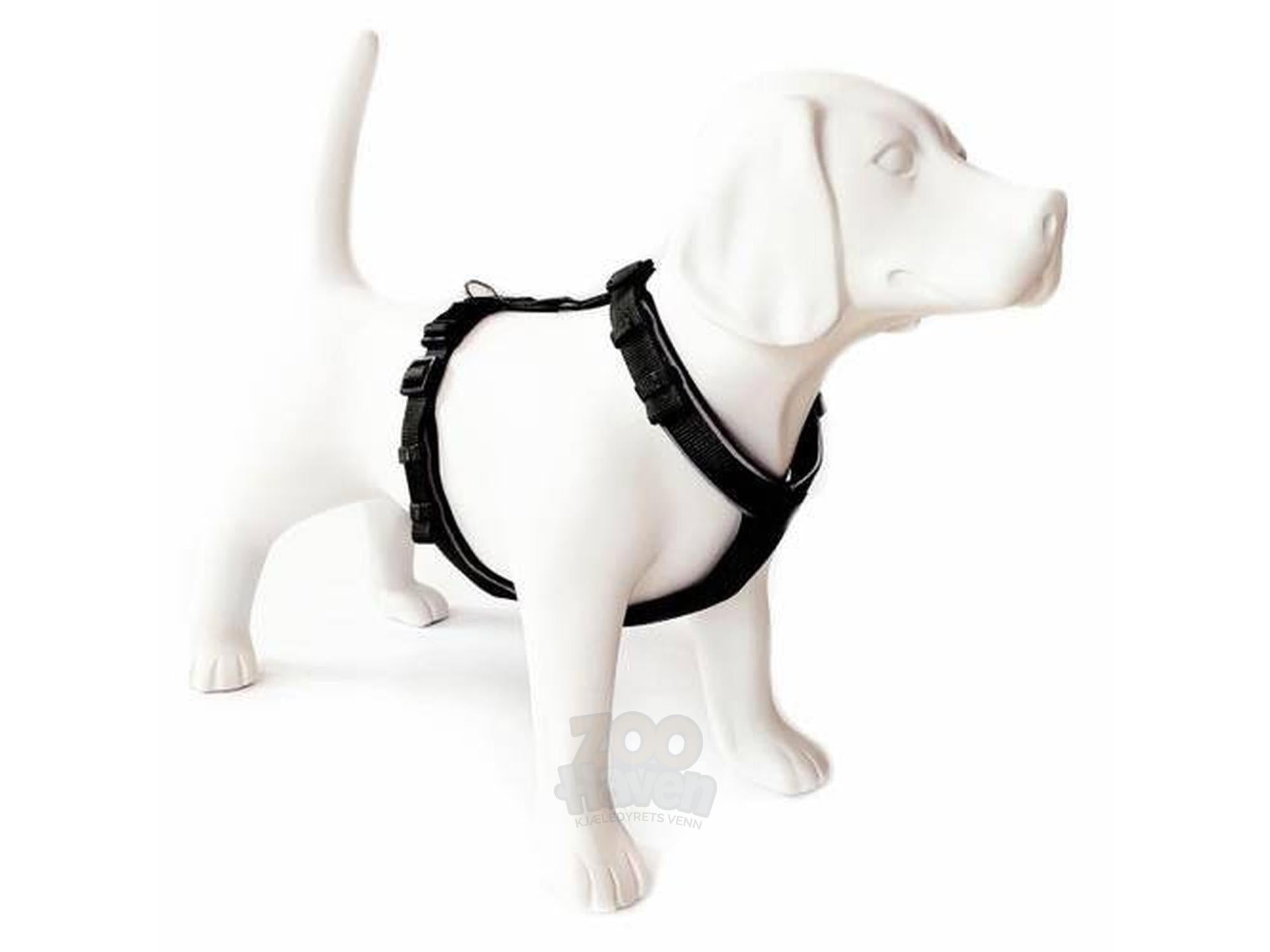 DGF Active sele i sort 30 cm til hund