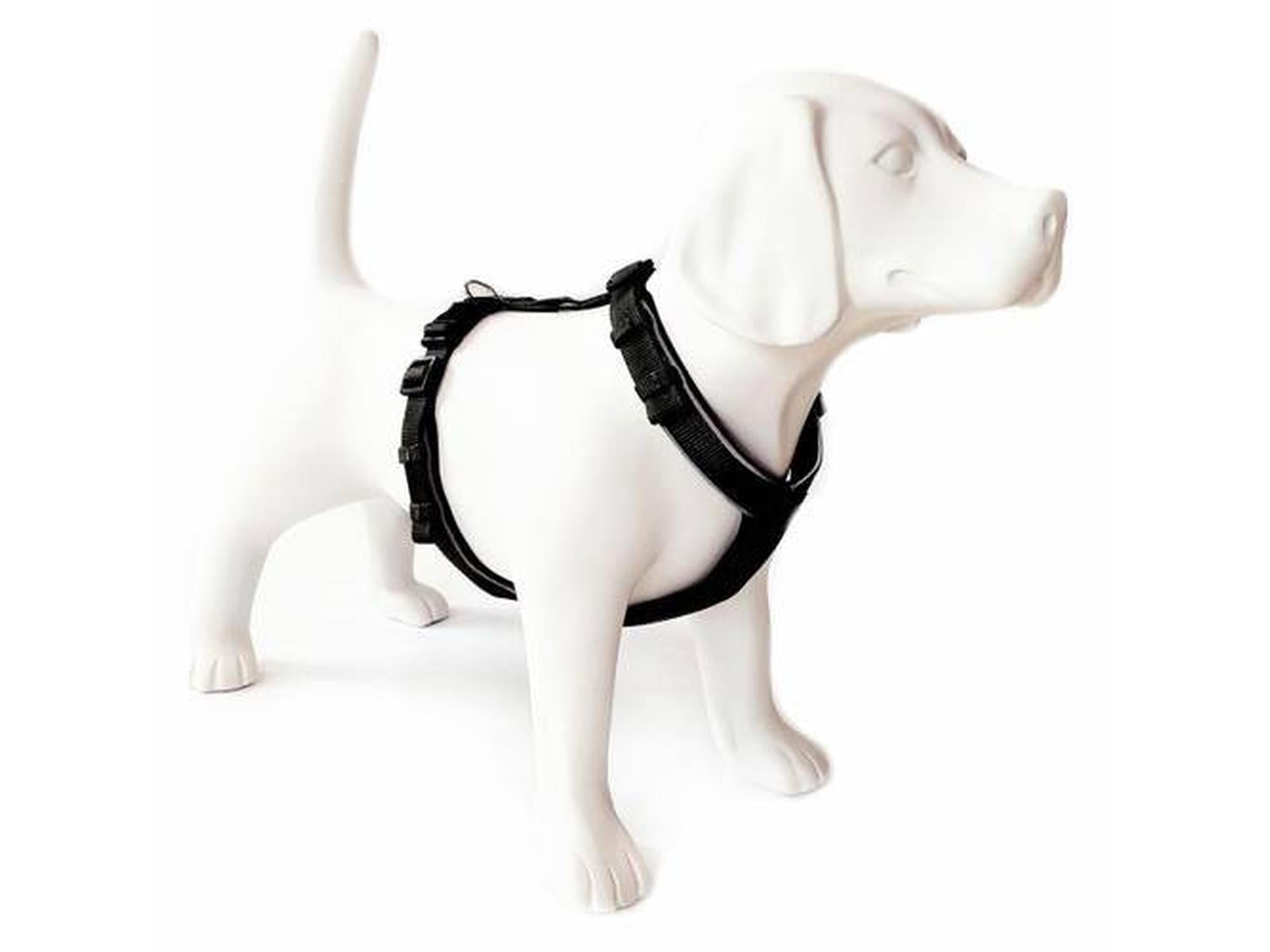 DGF Active sele i sort 30 cm til hund