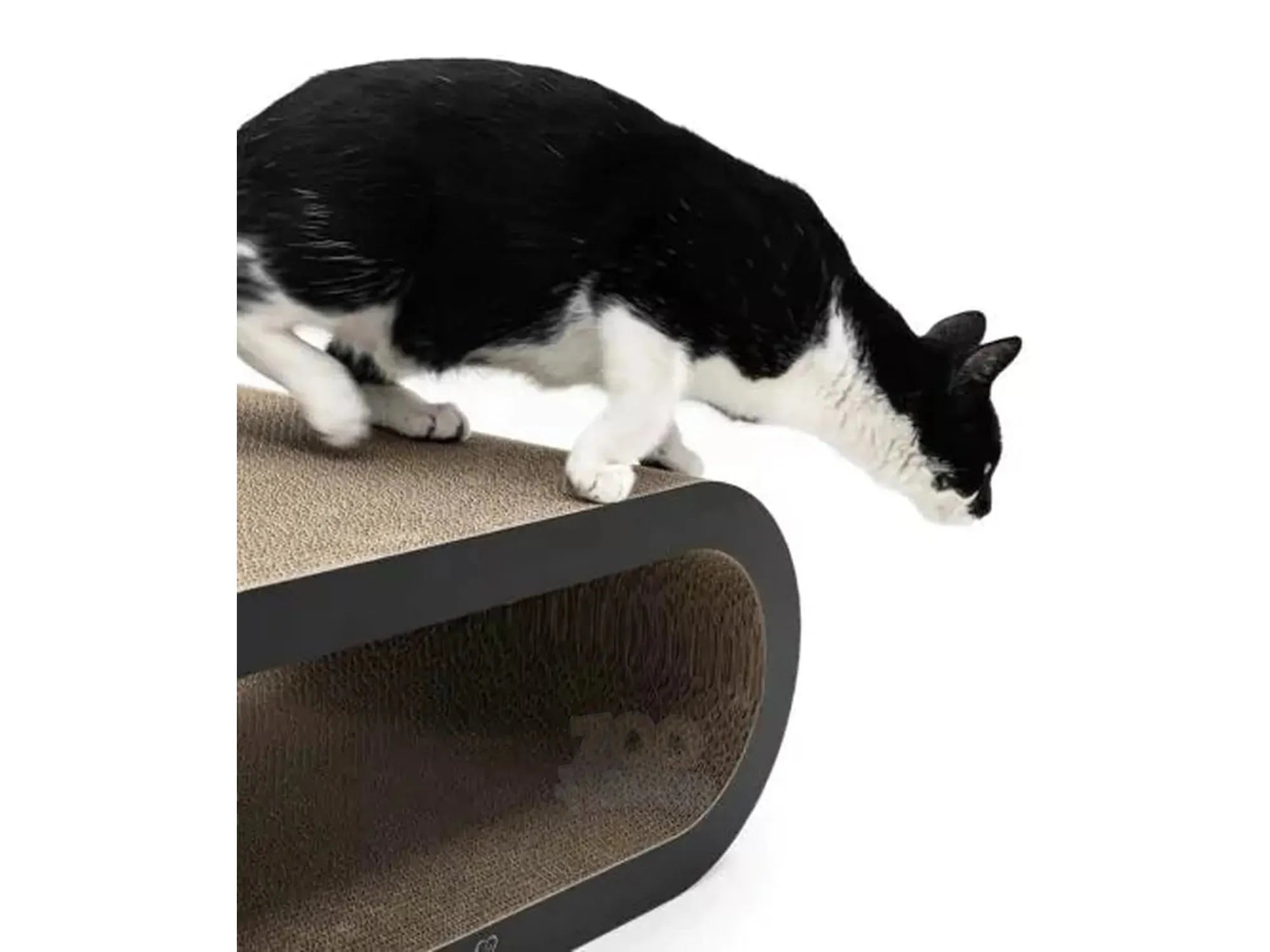 Svart-hvit katt på ovalt kloremøbel i bølgepapp med svart ramme og åpen midtdel.