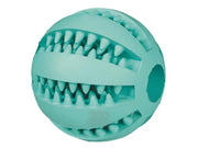 Dentafun Ball med Mint 6 cm – Tannrensende Hundeleke