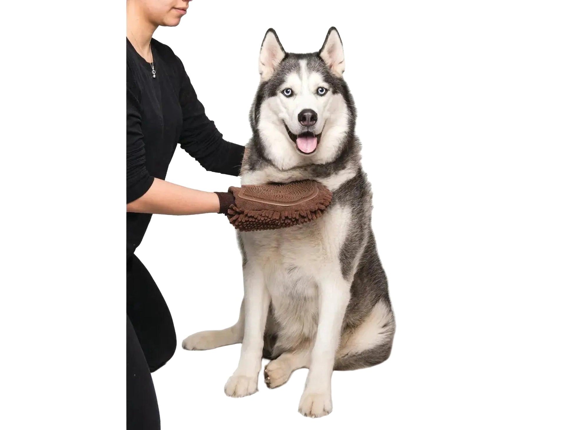Person grømer en husky med en brun mikrofiber Dirty Dog Grooming Hanske med gummipigger.