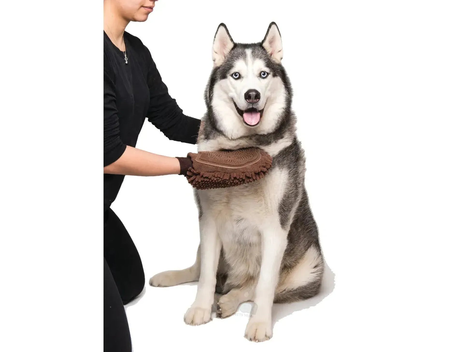 Person grømer en husky med en brun mikrofiber Dirty Dog Grooming Hanske med gummipigger.