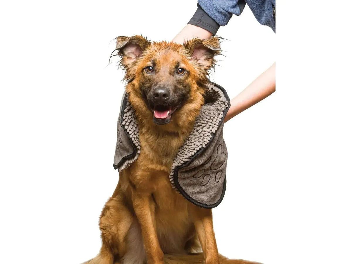 Våt brun hund tørkes med et brunt/grått Dog Gone Smart Dirty Dog Shammy mikrofiberhåndkle med potetrykk.