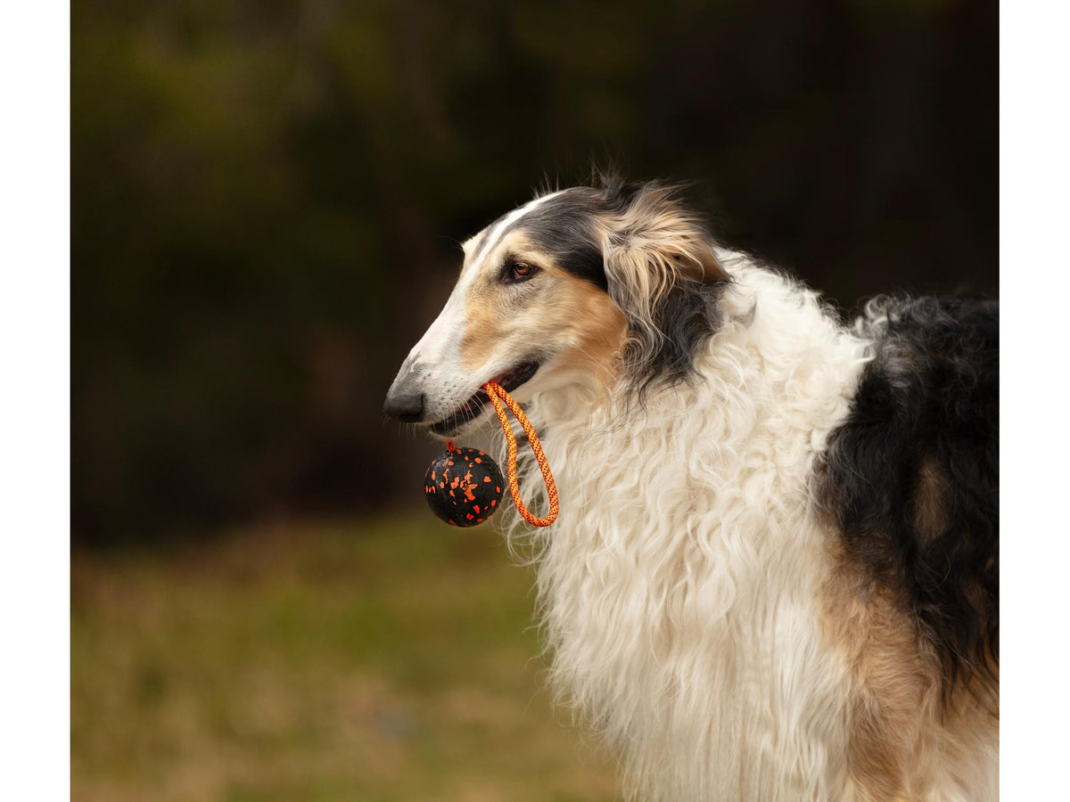 Non-stop dogwear Dog ball on rope ball med tau – Oransje/svart