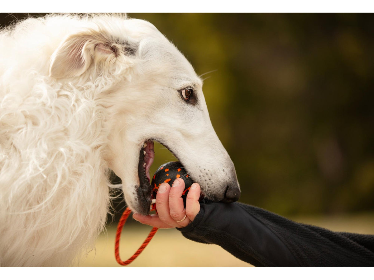 Non-stop dogwear Dog ball on rope ball med tau – Oransje/svart