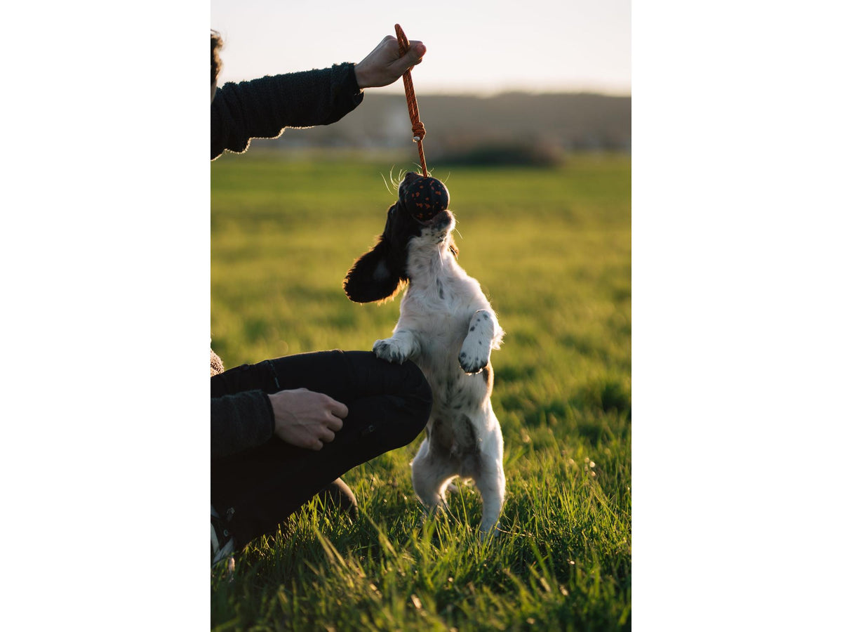 Non-stop dogwear Dog ball on rope ball med tau – Oransje/svart