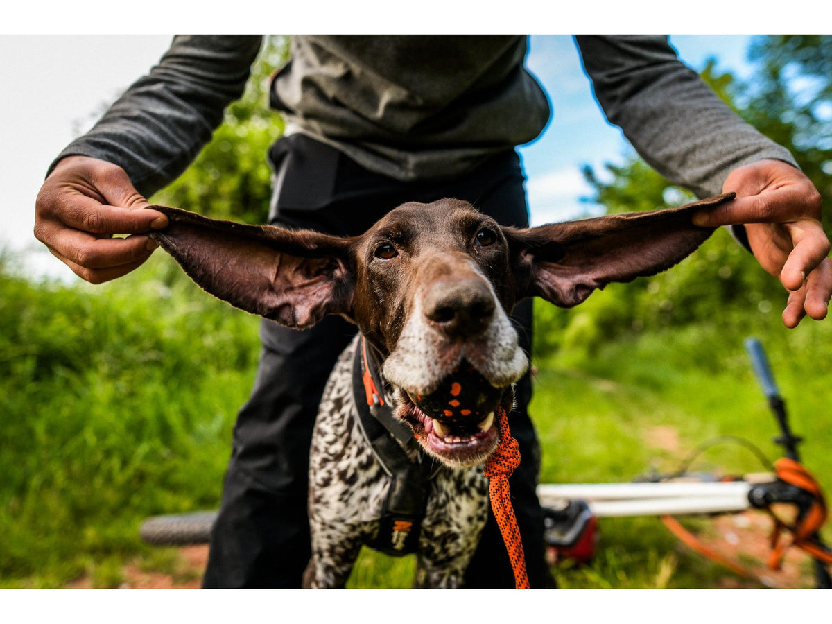 Non-stop dogwear Dog ball on rope ball med tau – Oransje/svart