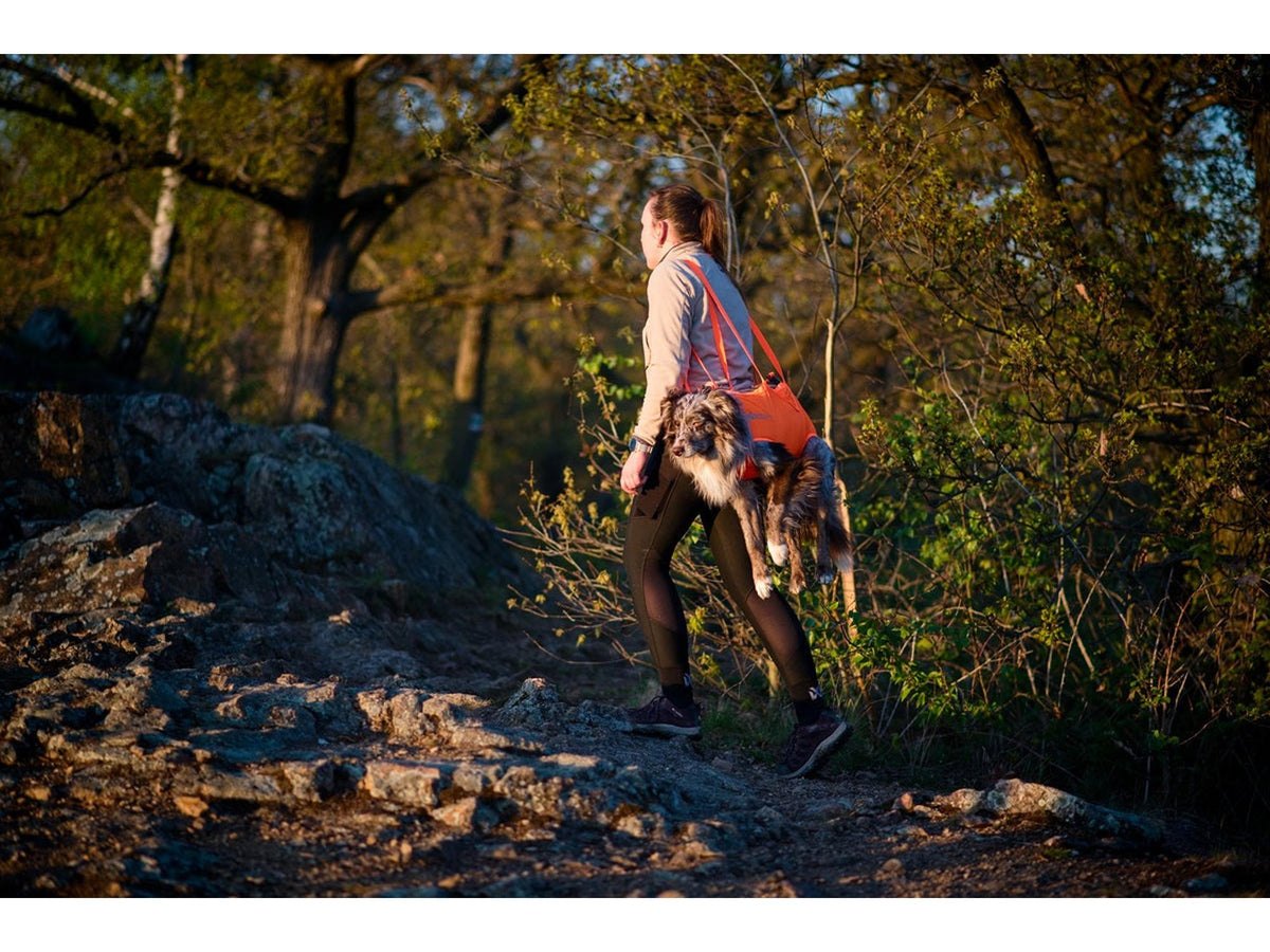 Non-stop dogwear Dog rescue sling redningsbåre – Oransje