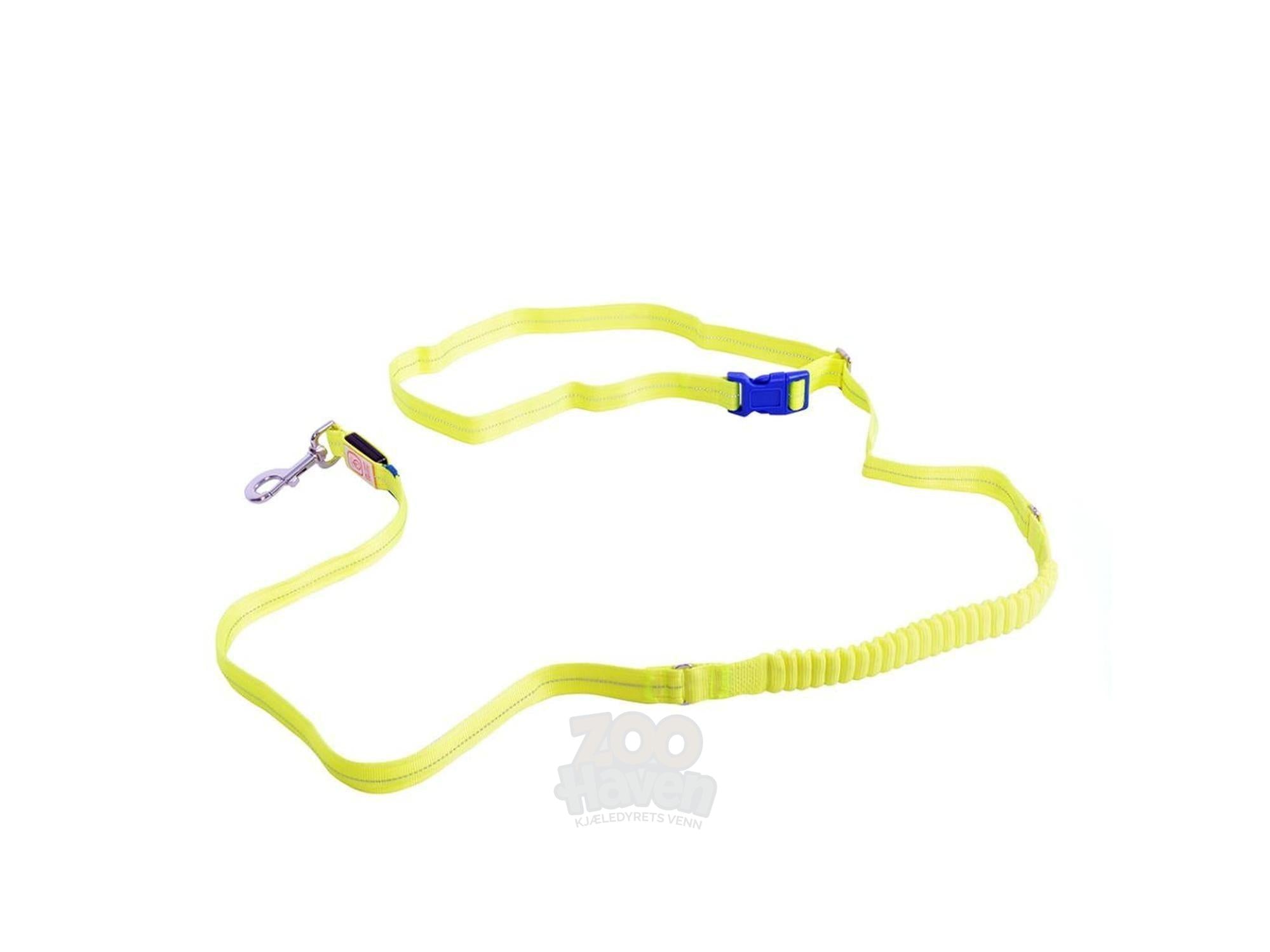Lys gul Duvo+ Flash Light Line USB hundebånd med blå spenne og sølvfarget karabinkrok.