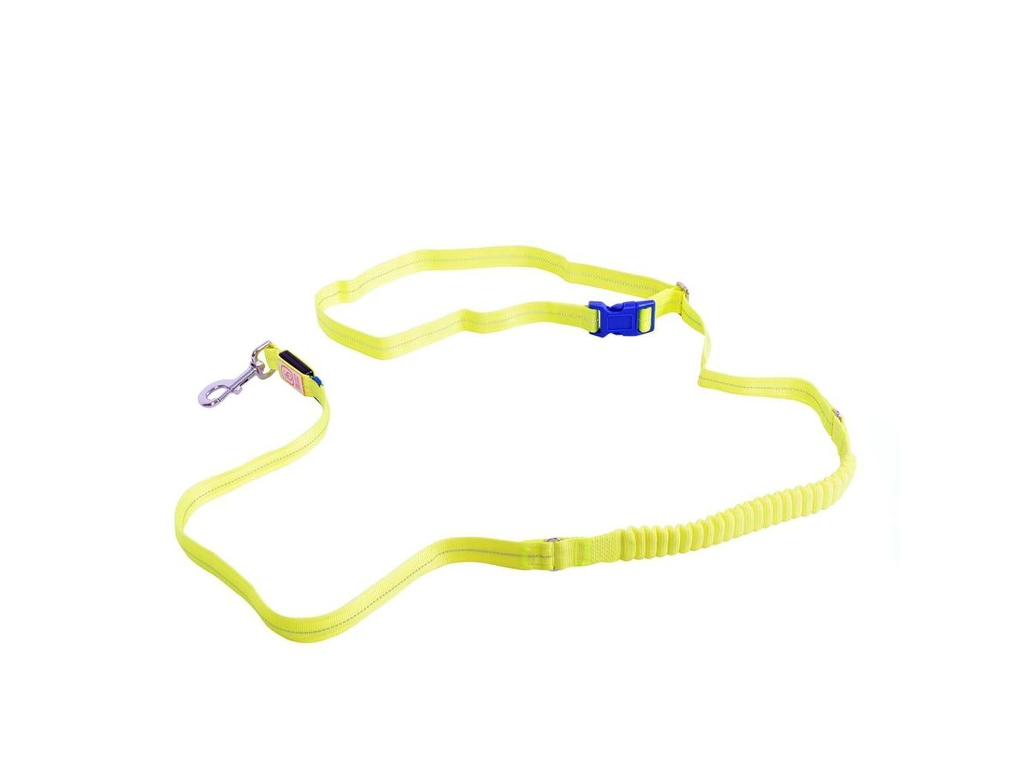 Lys gul Duvo+ Flash Light Line USB hundebånd med blå spenne og sølvfarget karabinkrok.