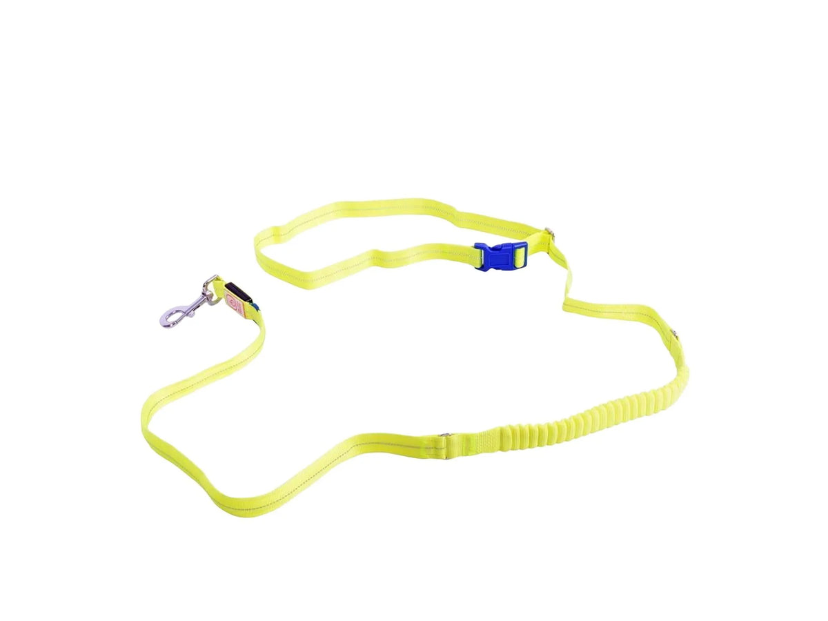 Lys gul Duvo+ Flash Light Line USB hundebånd med blå spenne og sølvfarget karabinkrok.
