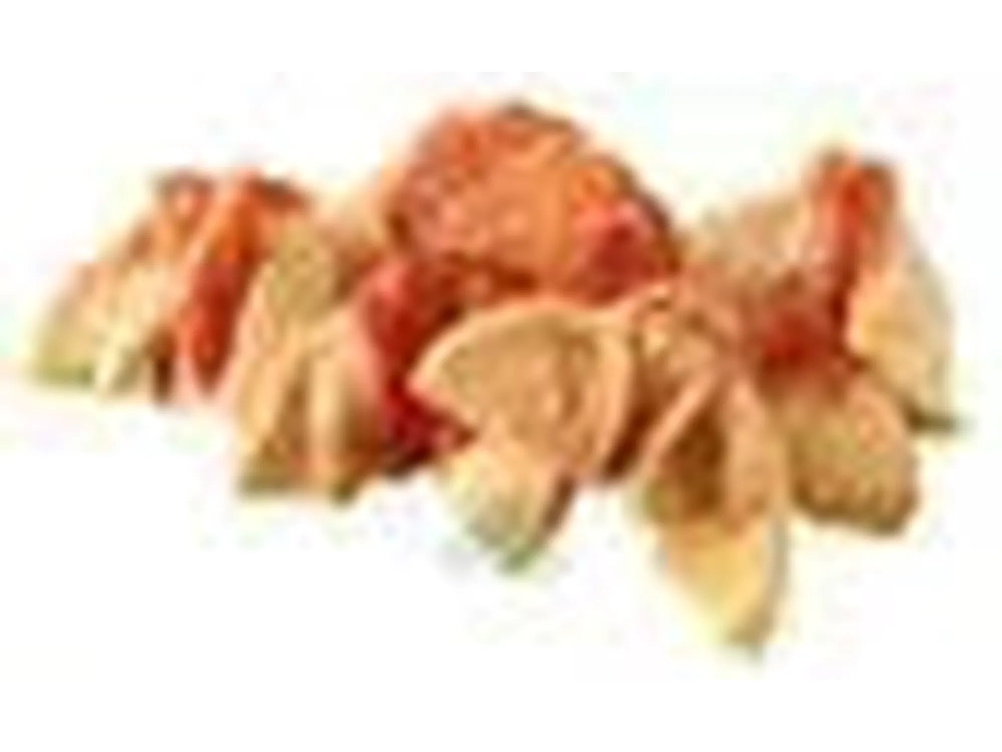 Eple Chicken Light 100 g