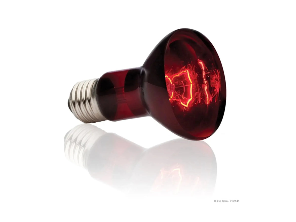 Exo Terra Heat Glo infrarød varmespot