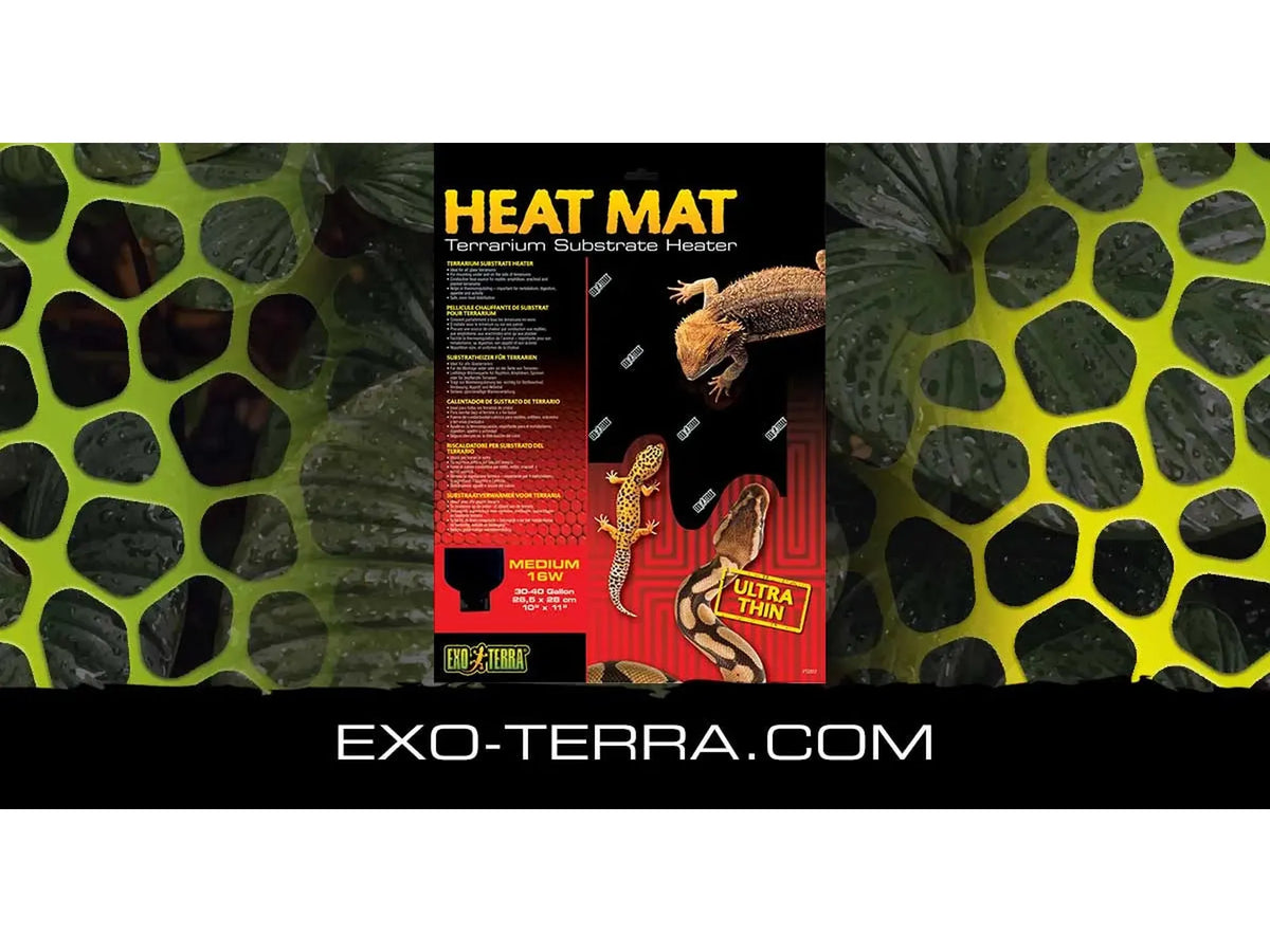 Exo Terra Heat Mat montert under terrarium