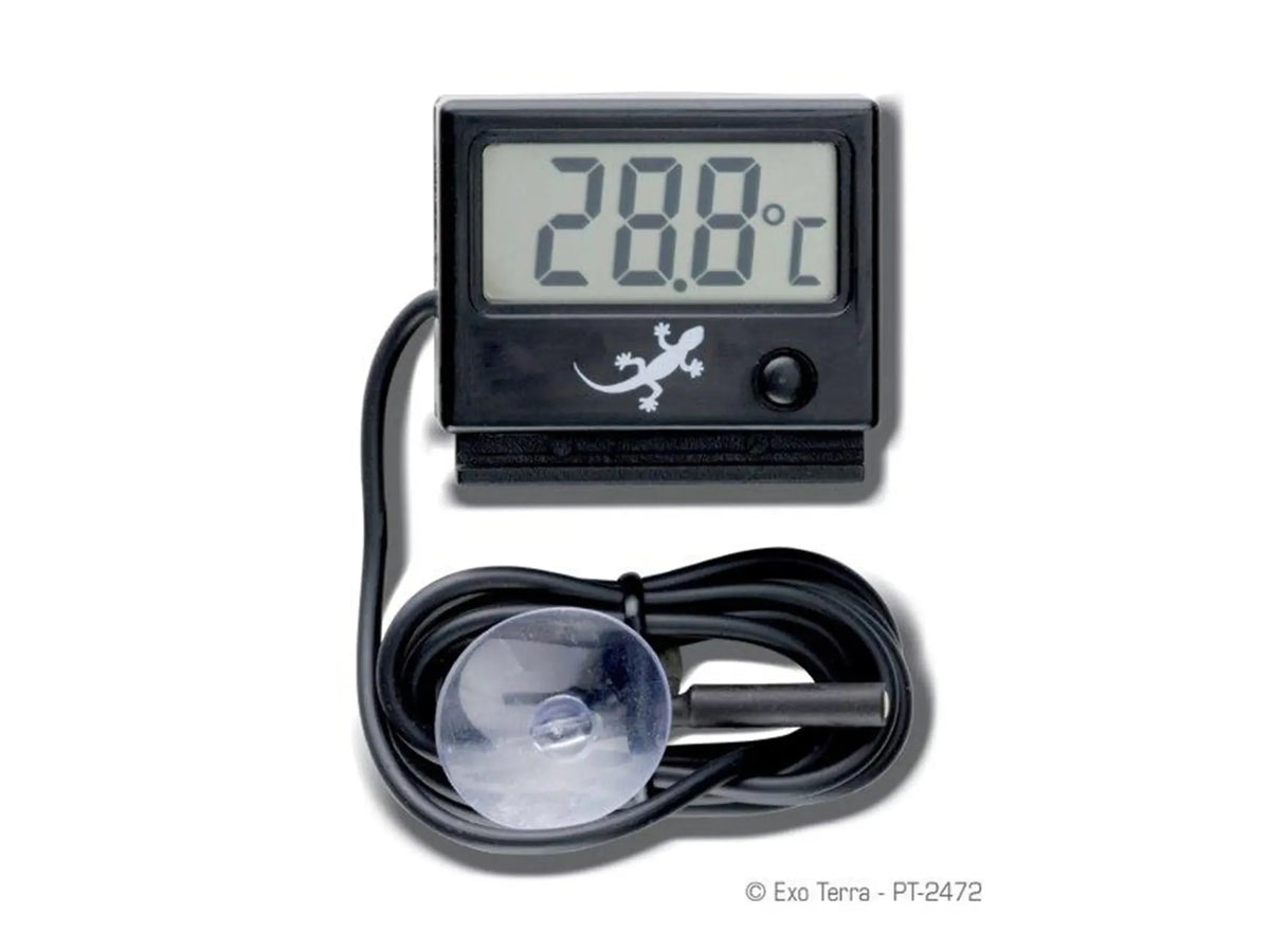 Exo Terra LED Rept-O-Meter termometer digitalt