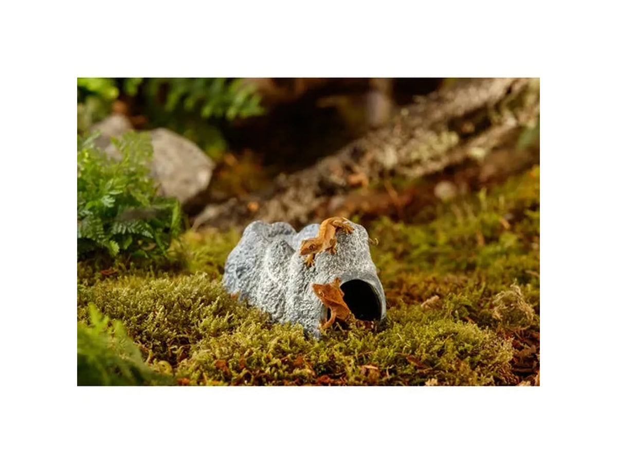 Exo Terra Wet Rock keramisk fuktighetshule