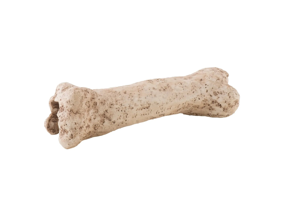 Exo Terra dinosaurknokkel small