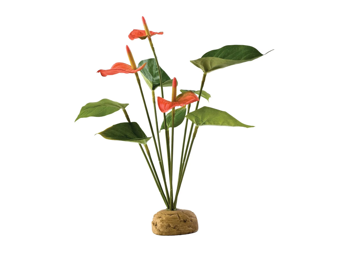 Exo Terra kunstig plante Anthurium