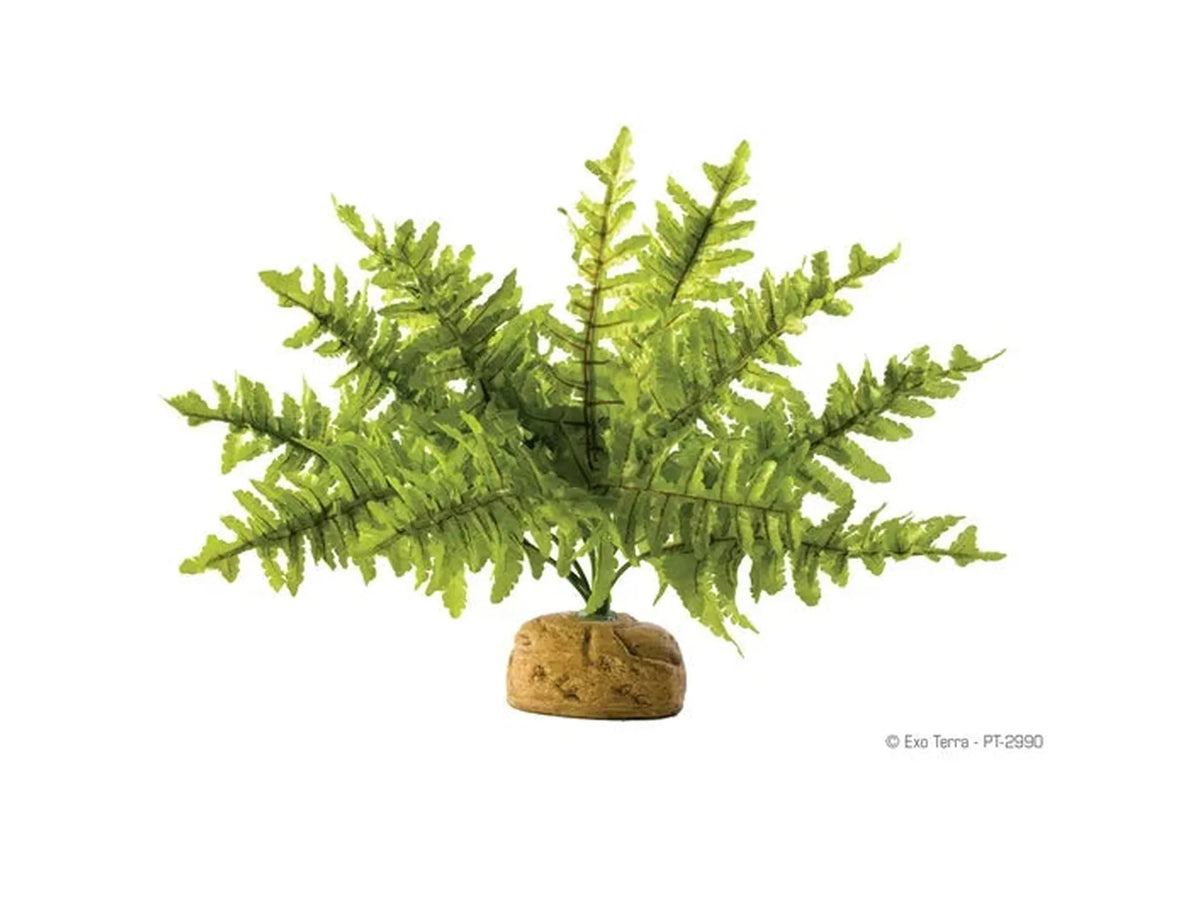 Exo Terra kunstig plante Boston Fern small