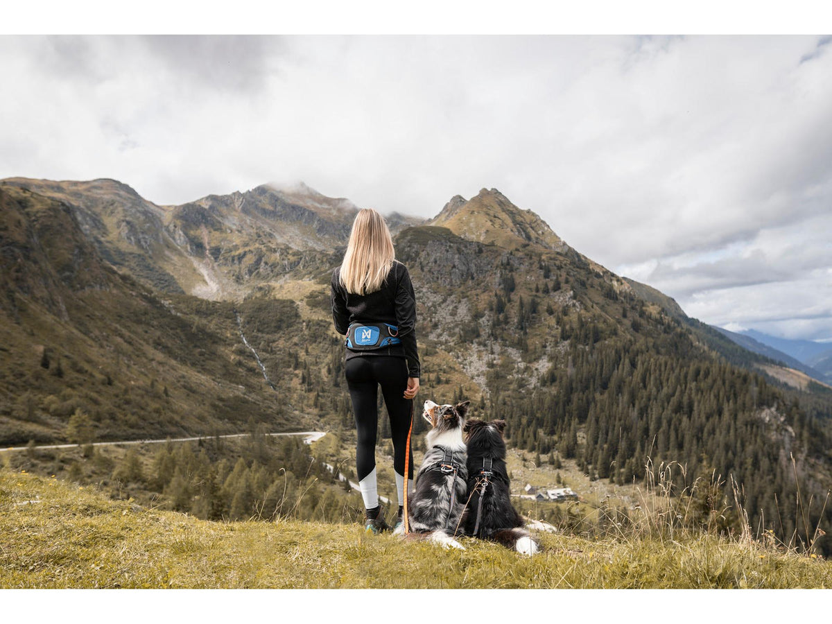 Non-stop dogwear Ferd belt trekkbelte – Blå