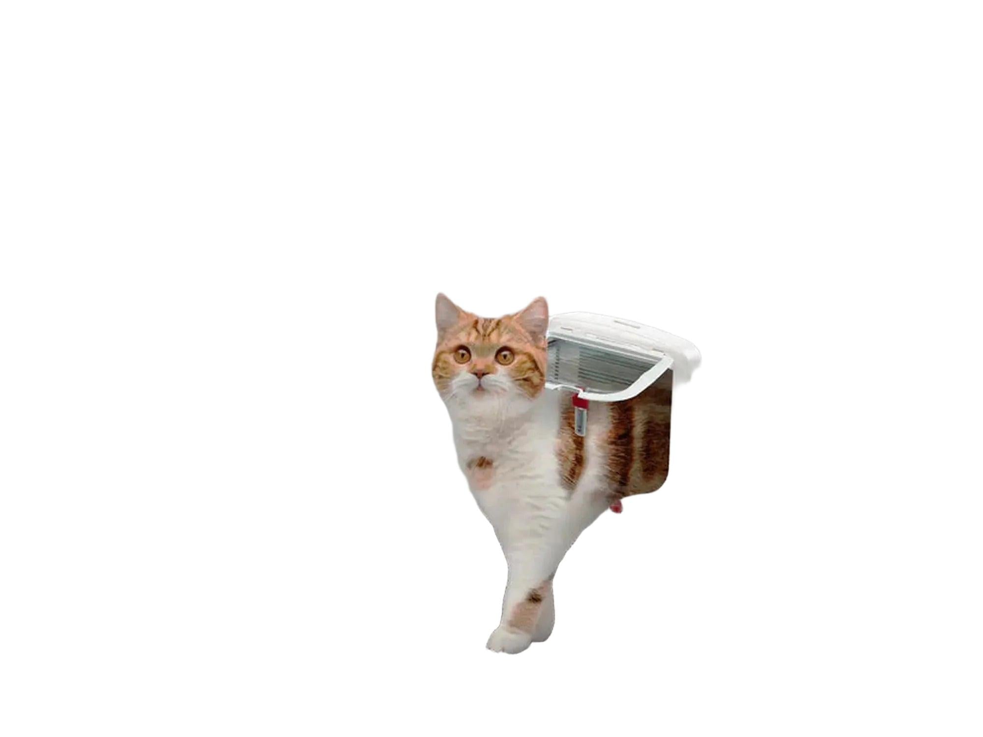 Ferplast Swing Microchip katteluke i hvit plast med en rød og hvit katt som går gjennom.