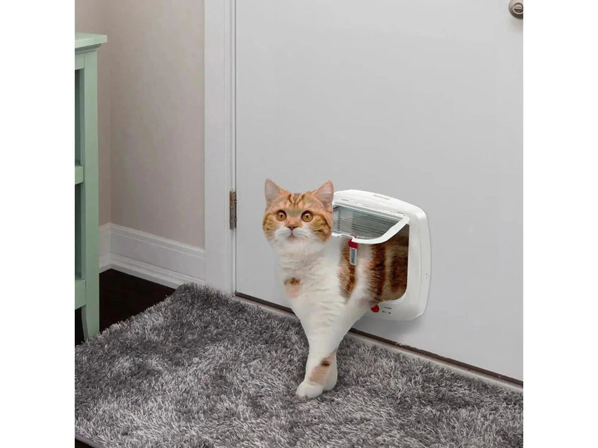 Ferplast Swing Microchip katteluke i hvit plast med en rød og hvit katt som går gjennom.