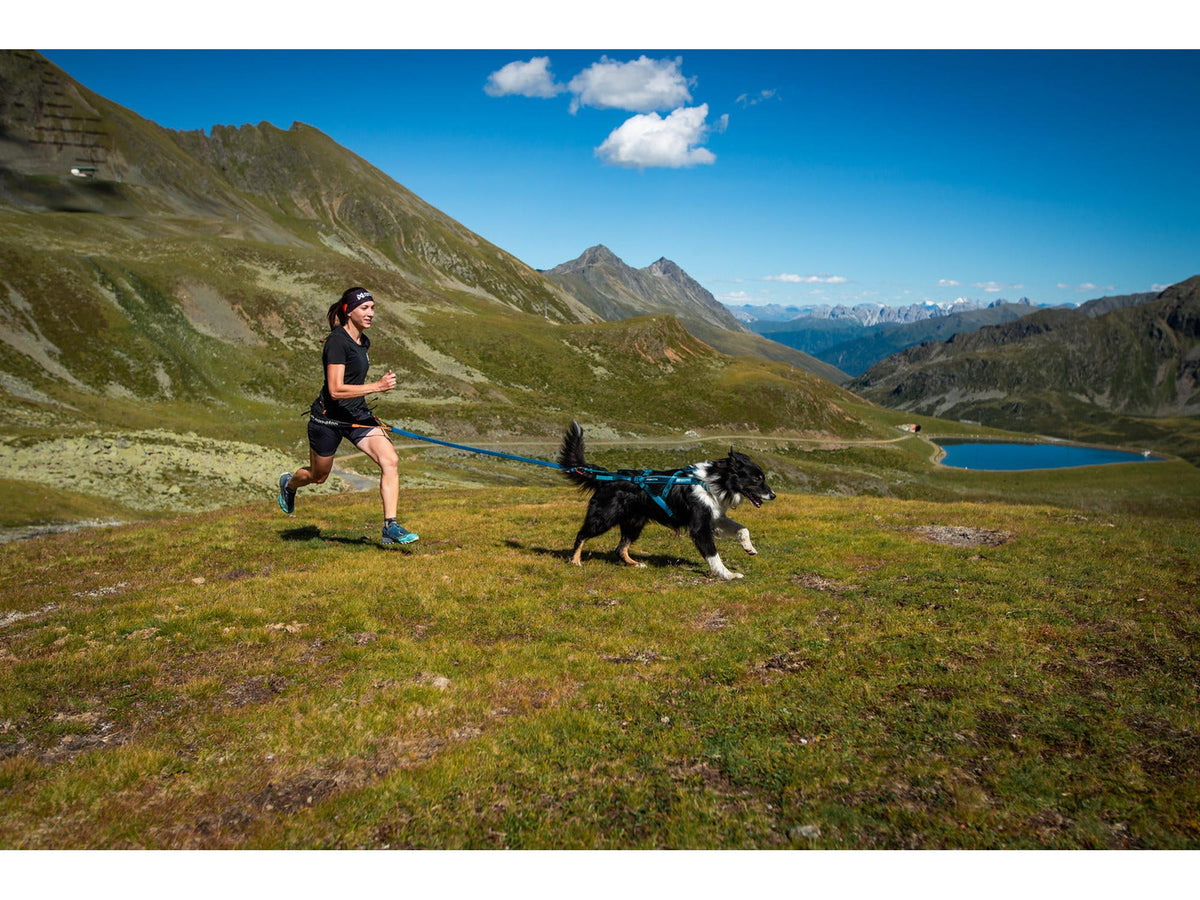 Non-stop dogwear Freemotion harness 5.0 trekksele – Teal