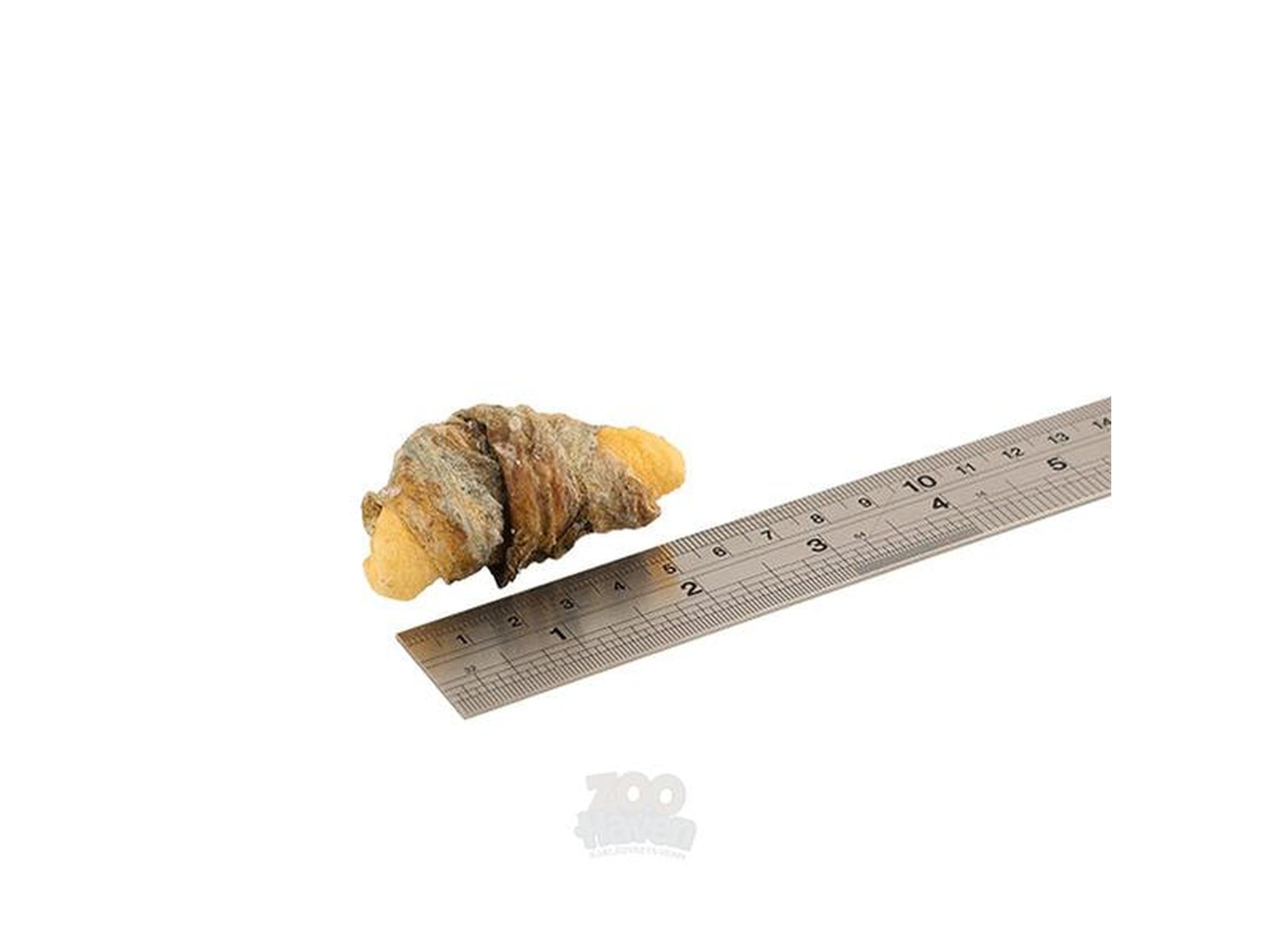 Fish4Dogs Apple Fish Wraps 100g – Hundegodbit med eple og fiskeskinn