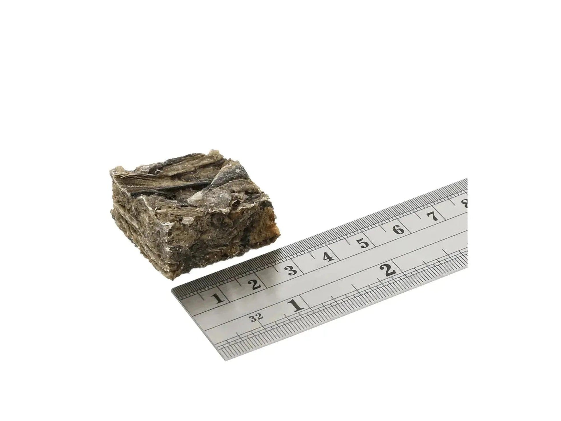 Brun, grov terning av fiskeskinn (ca. 25 mm) ved siden av en linjal for størrelsesreferanse.